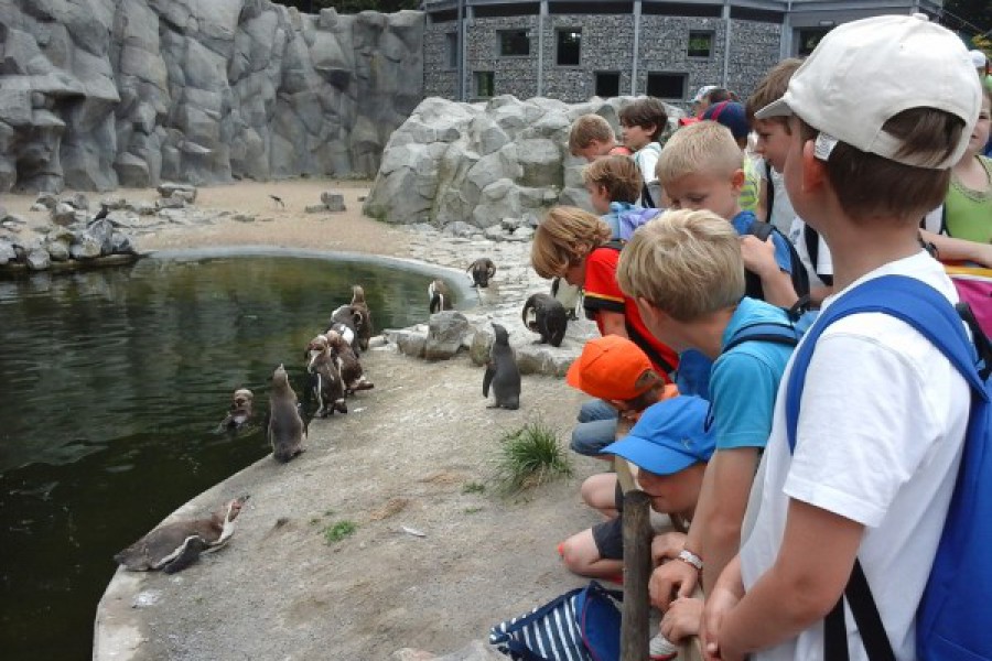 Schoolreis eerste graad: kuieren tussen de dieren in Planckendael.